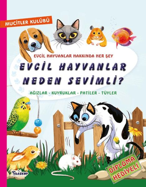 Evcil Hayvanlar Neden Sevimli?