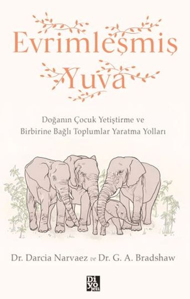 Evrimleşmiş Yuva