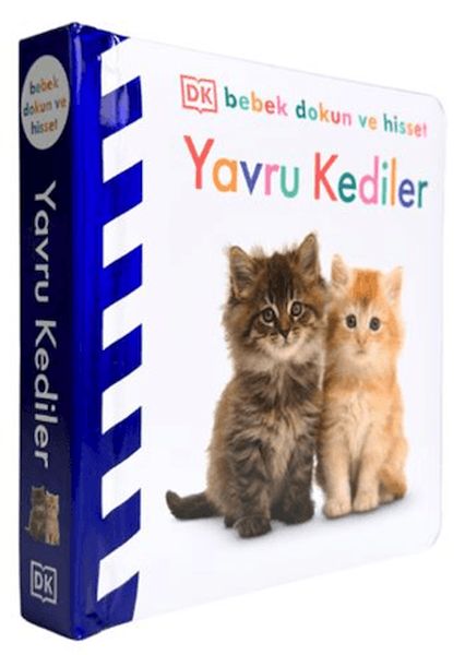 Bebek Dokun Ve Hisset - Yavru Kediler