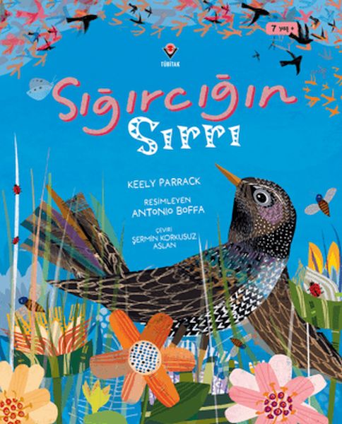 Sığırcığın Sırrı