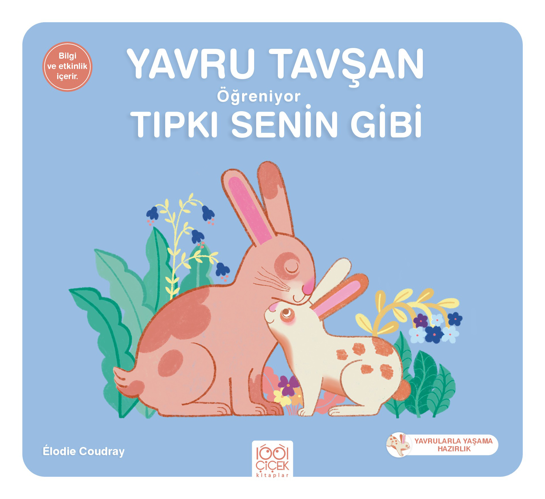 Yavru Tavşan Öğreniyor Tıpkı Senin Gibi