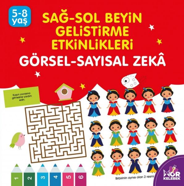 Sağ-Sol Beyin Geliştirme Etkinlikleri - Görsel-Sayısal Zeka