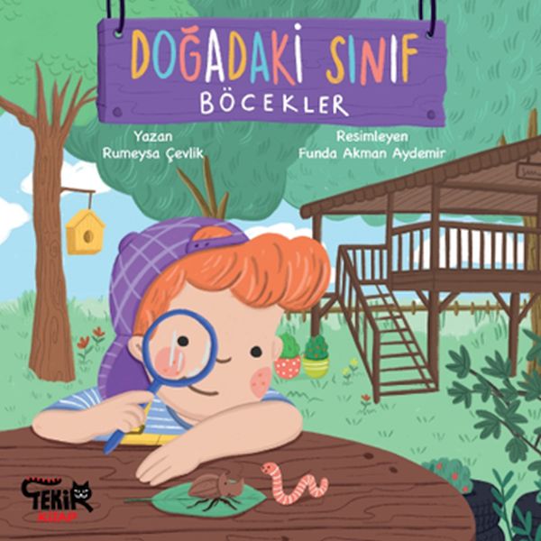 Doğadaki Sınıf- Böcekler