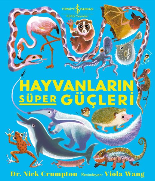 Hayvanların Süper Güçleri